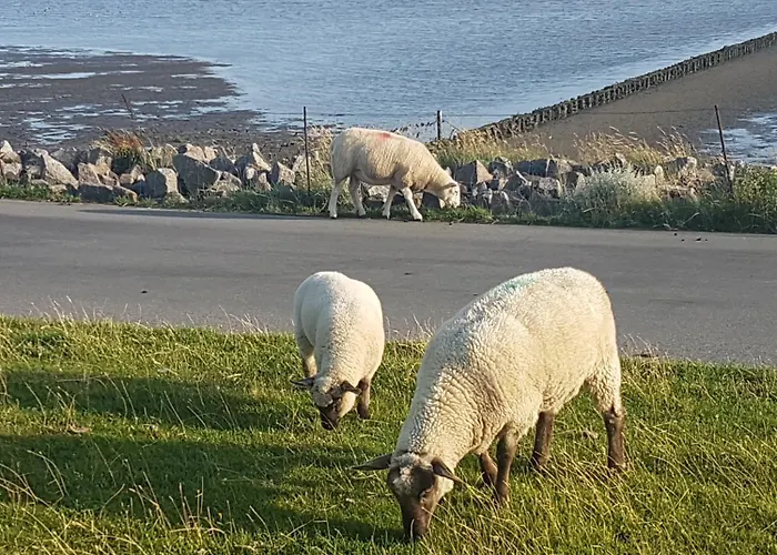 Affittacamere Der Muehlenhof 3*